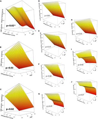 Dynamic Effects of Immersive Bilingualism on Cortical and Subcortical Grey Matter Volumes